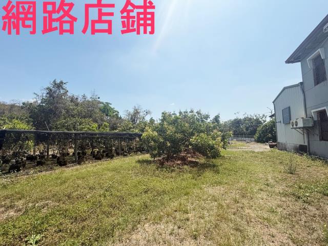 玉井透天-12