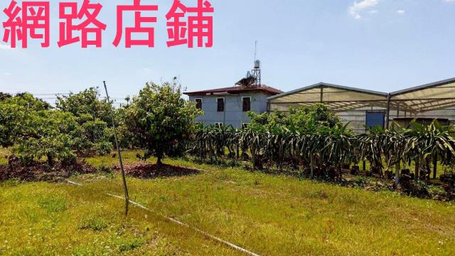 玉井透天-0