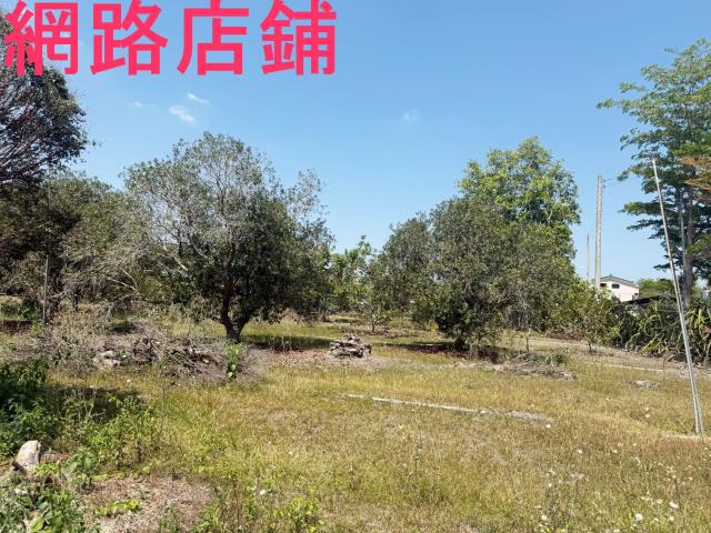 玉井透天-8