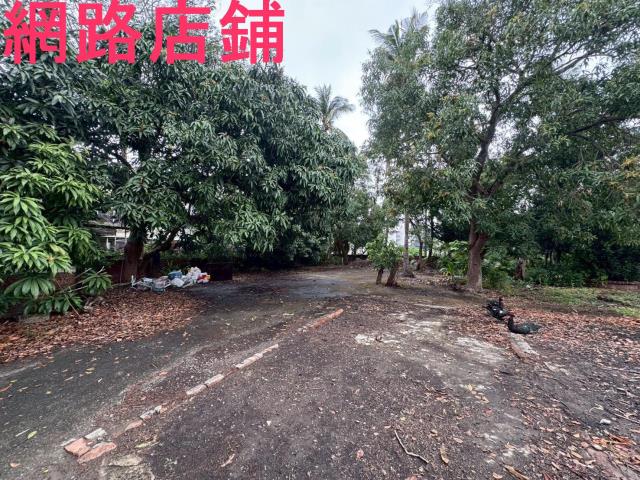 新化透天-4