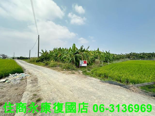 屏東農地-1