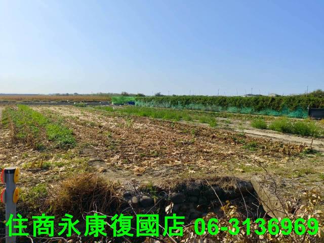 台南佳里農地-13