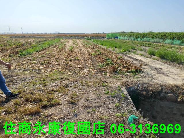 台南佳里農地-2
