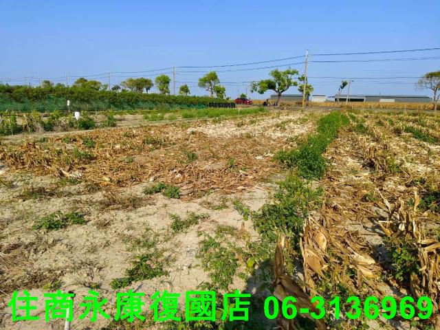 台南佳里農地-7