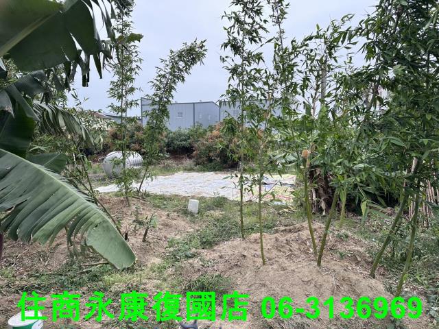 仁德農地-0