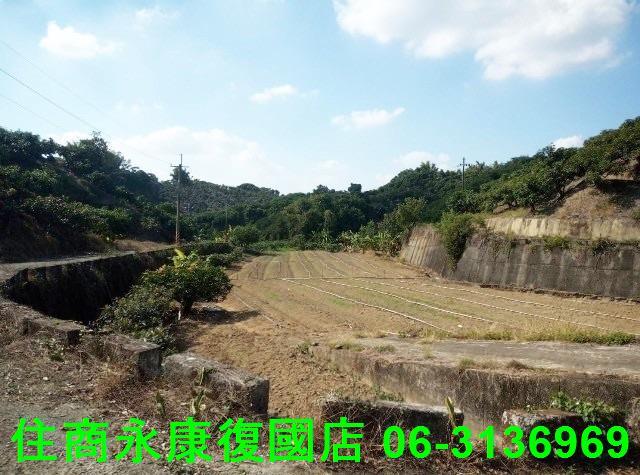 台南農地-5