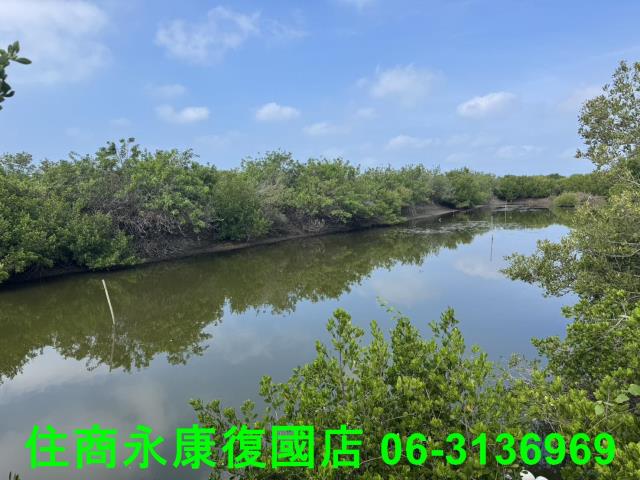 台南農地-3