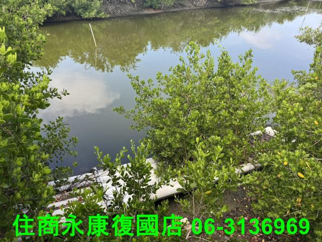 台南農地-7