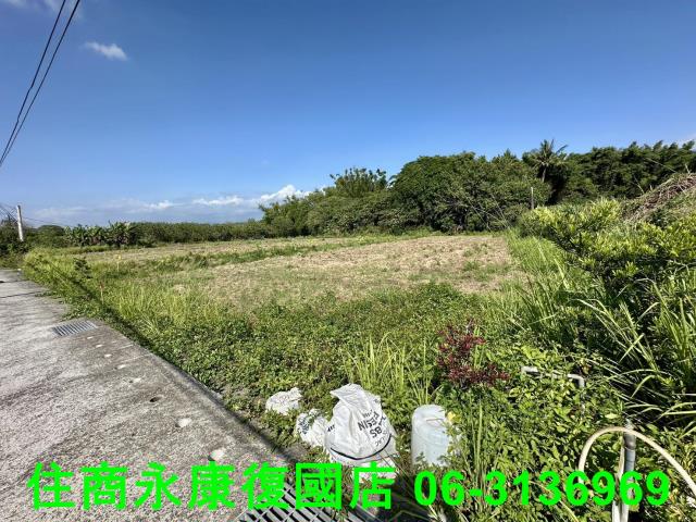 左鎮農地-2