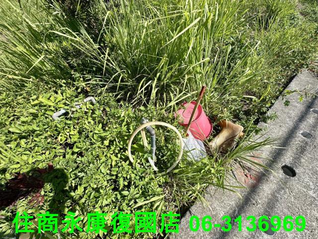 左鎮農地-3