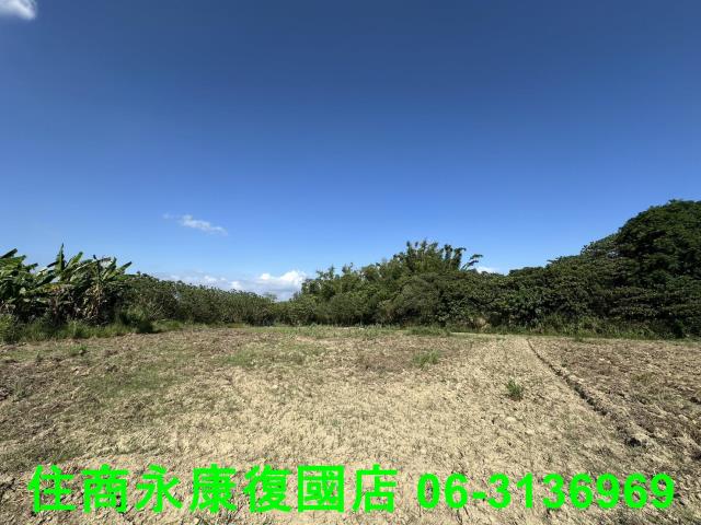 左鎮農地-4
