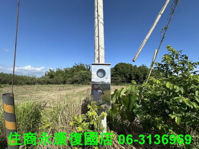 左鎮農地-6