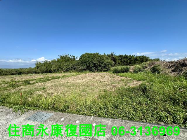 左鎮農地-8