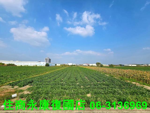 新化農地-0