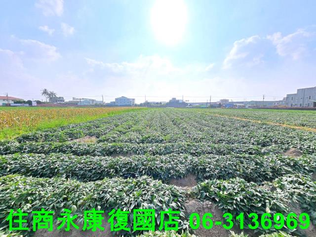 新化農地-3
