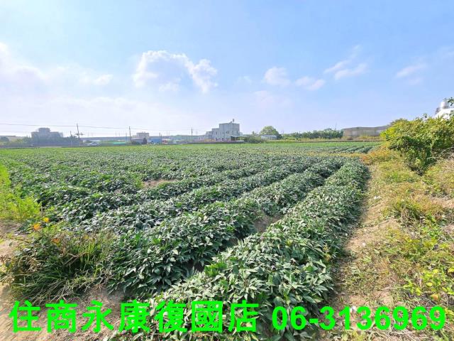 新化農地-4