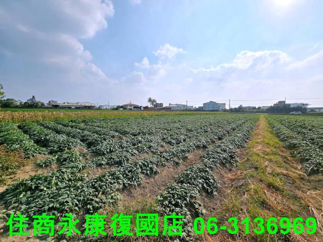 新化農地-5