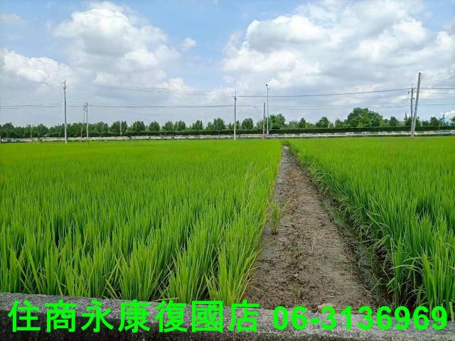 台南農地-0
