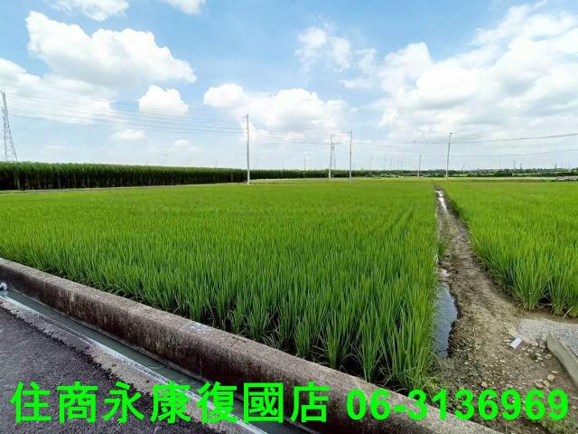 台南農地-1
