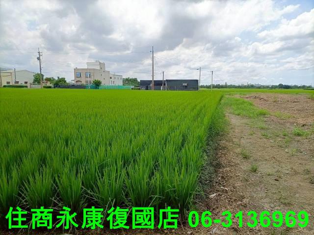 台南農地-4