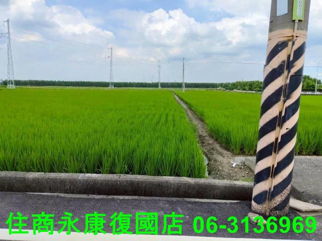 台南農地-7