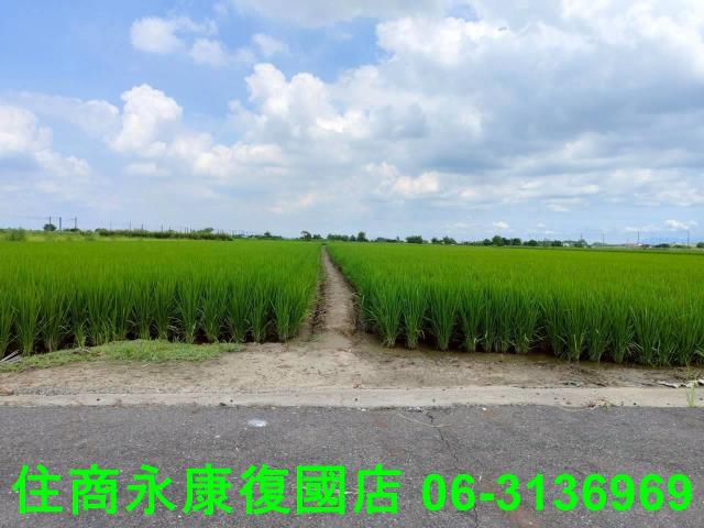 台南農地-9