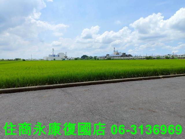 台南農地-10