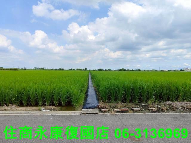 台南農地-12