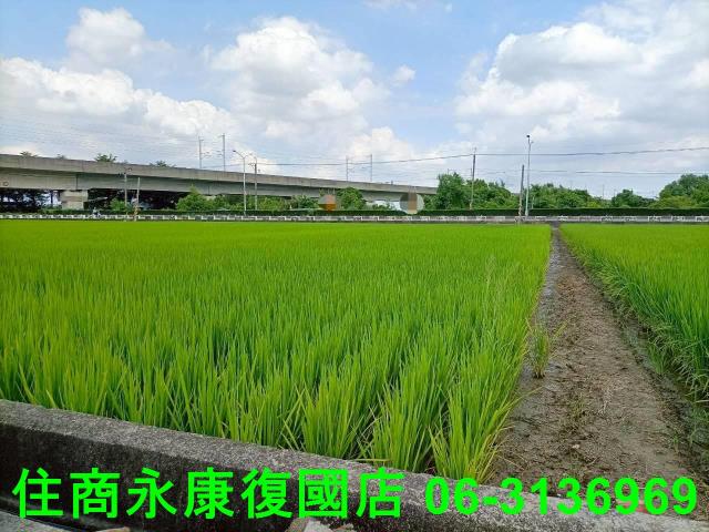 台南農地-3