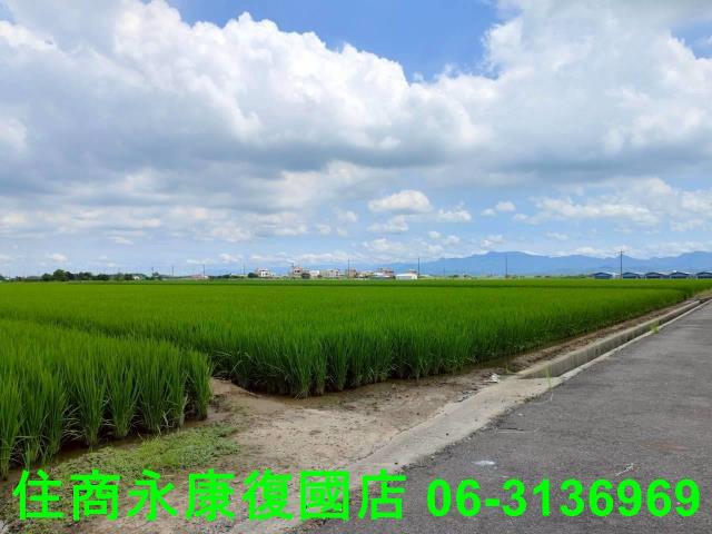 台南農地-5