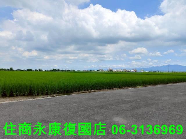 台南農地-6