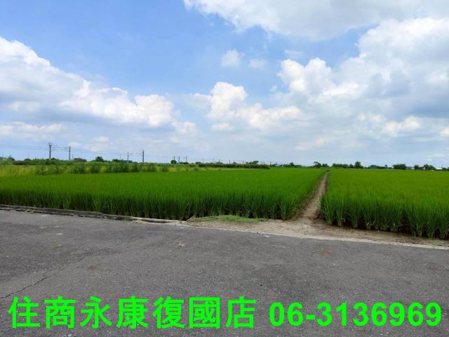 台南農地-7