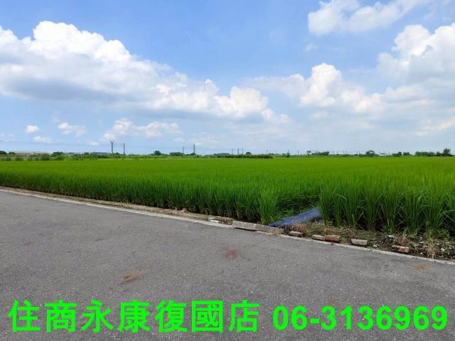 台南農地-8