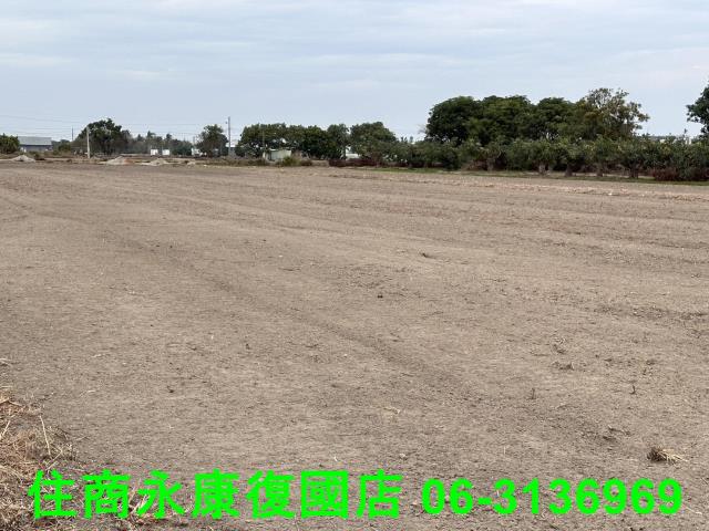 台南歸仁農地-10