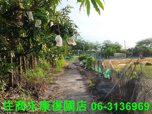 新化農地-11