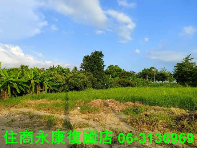 新化農地-13