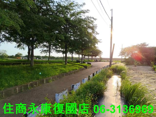 新化農地-14