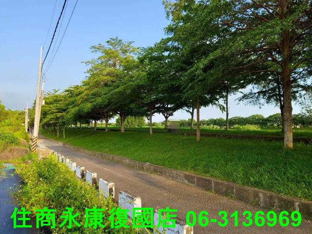 新化農地-1