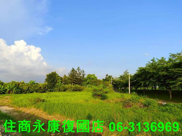 新化農地-2