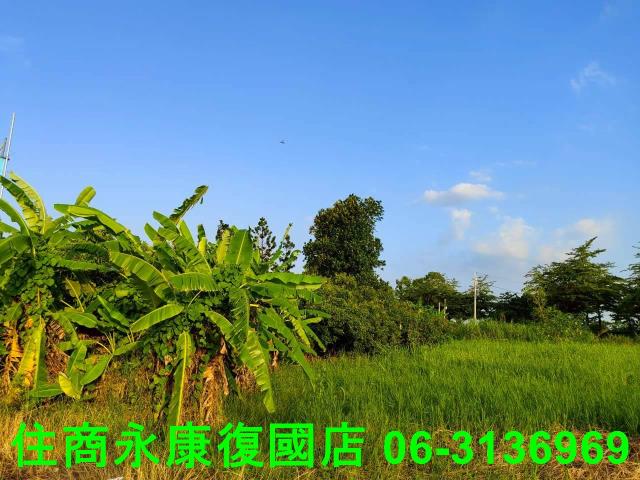 新化農地-3