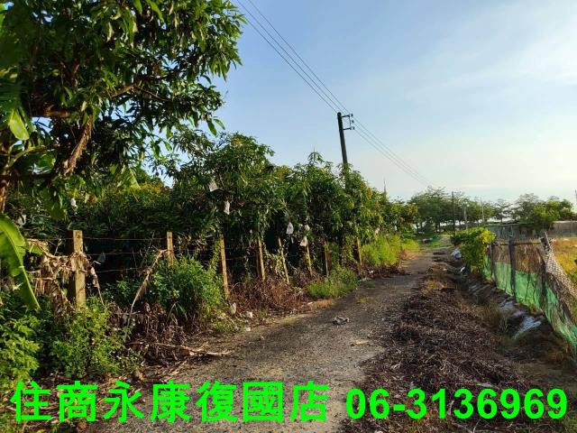新化農地-4