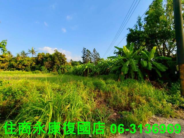 新化農地-5