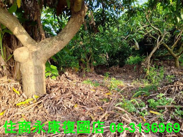 新化農地-8