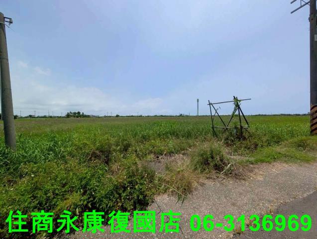 將軍農地-3