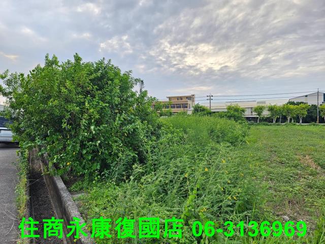 台南七股農地-3