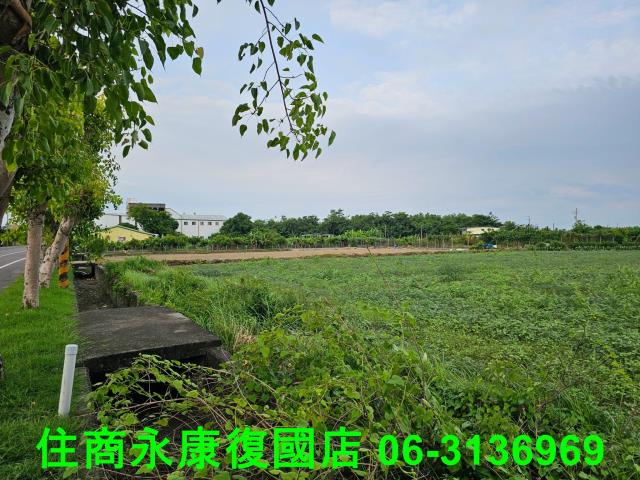 台南七股農地-5