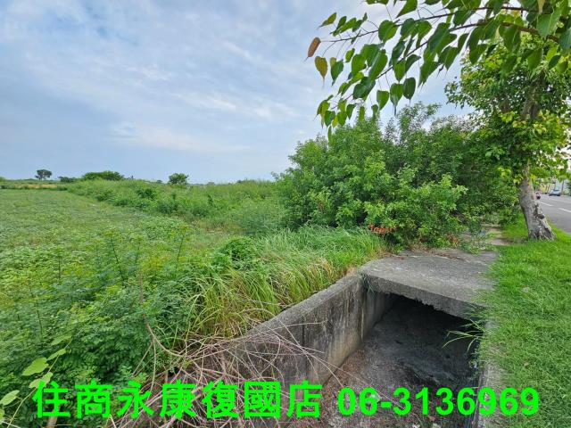 台南七股農地-6