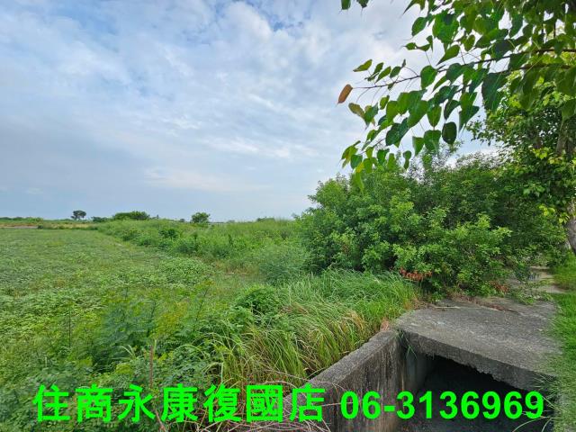 台南七股農地-7