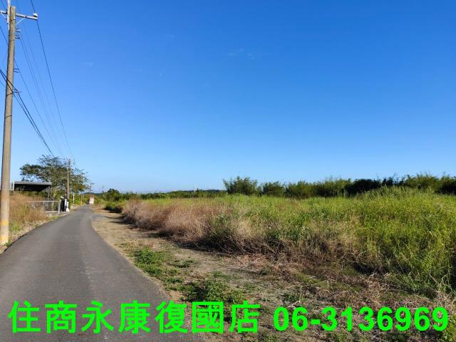 台南農地-5