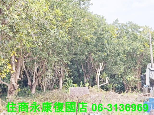 台南農地-8